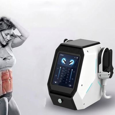 Two Handles Desktop Emslim Machine Fat Loss Body Shaping slim beauty machine