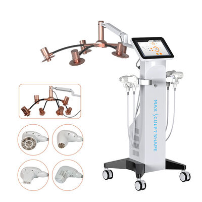 Kopen Multifunctionele 6D 10D laserafslankmachine met RF EMS-spierstimulatie online vervaardiging