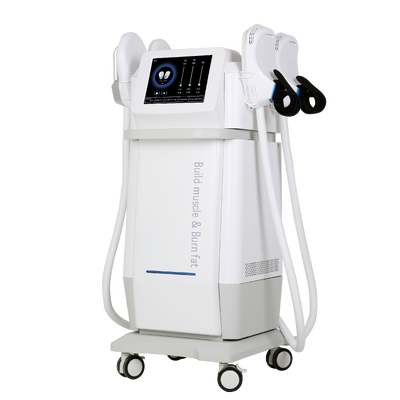 comprar Cuerpo gordo de la pérdida que esculpe los salones de belleza profesionales de la máquina que esculpe el ccsme Fabricación en línea