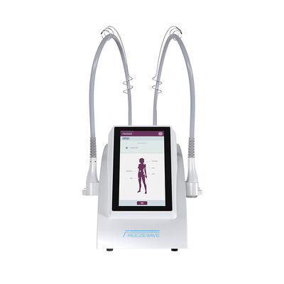 Acheter Machine de cryolipolyse 2450MHz anti-âge avec 2 poignées pour la réduction de la cellulite fabrication en ligne