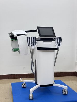 ซื้อ เครื่องลดน้ําหนักด้วยเลเซอร์และ Cryolipolysis สําหรับการปรับรูปร่างร่างกายที่ไม่บุกรุก การผลิตออนไลน์
