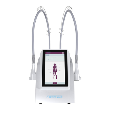 Comprar Máquina de escultura facial de 600W e de escultura fria Equipamento de congelamento de gordura de 2450MHz Fabricação em linha