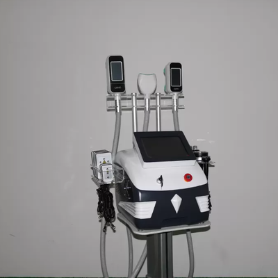 買う 脂肪の減少および皮膚の引き締めのための 360° サラウンド Cryolipolysis 装置 オンライン製造
