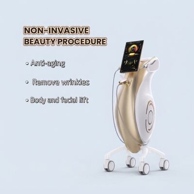 membeli MVS HIFU MPT Hifu Mesin Lifting Wajah Dengan EMS RF Precision Anti Aging pembuatan online
