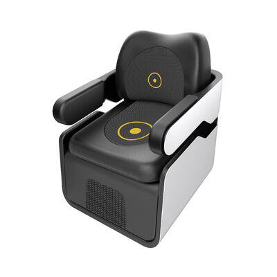 buy Pelvic Floor and Back Magnetic Therapy Chair EMS Sculpting Machine for Muscle Stimulation  online manufacture